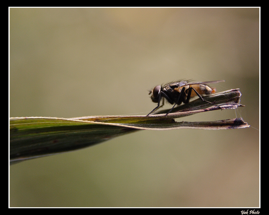Aspettando "tempi" migliori!