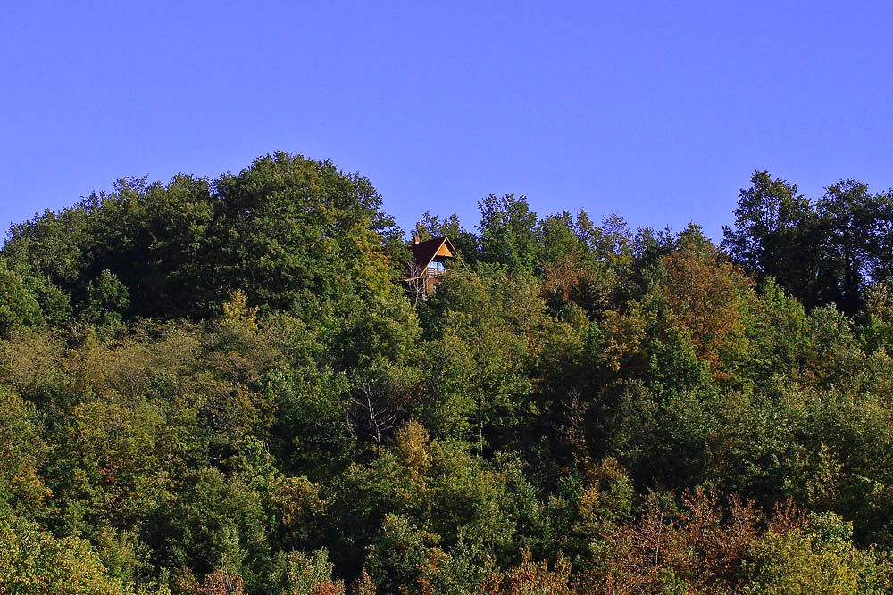 C'� una casa nel bosco.......