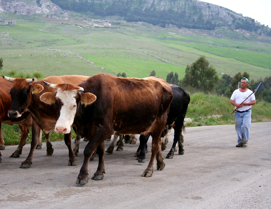 andiam...andiam...andiamo a passeggi�