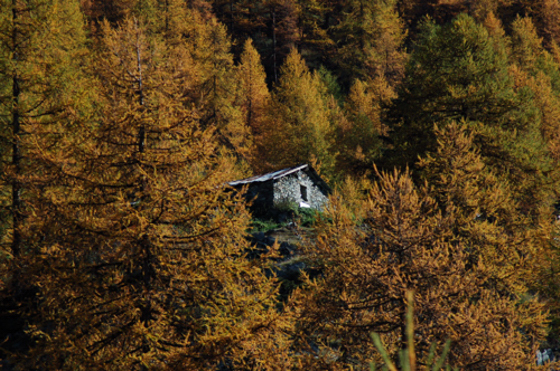 once upon a time ...