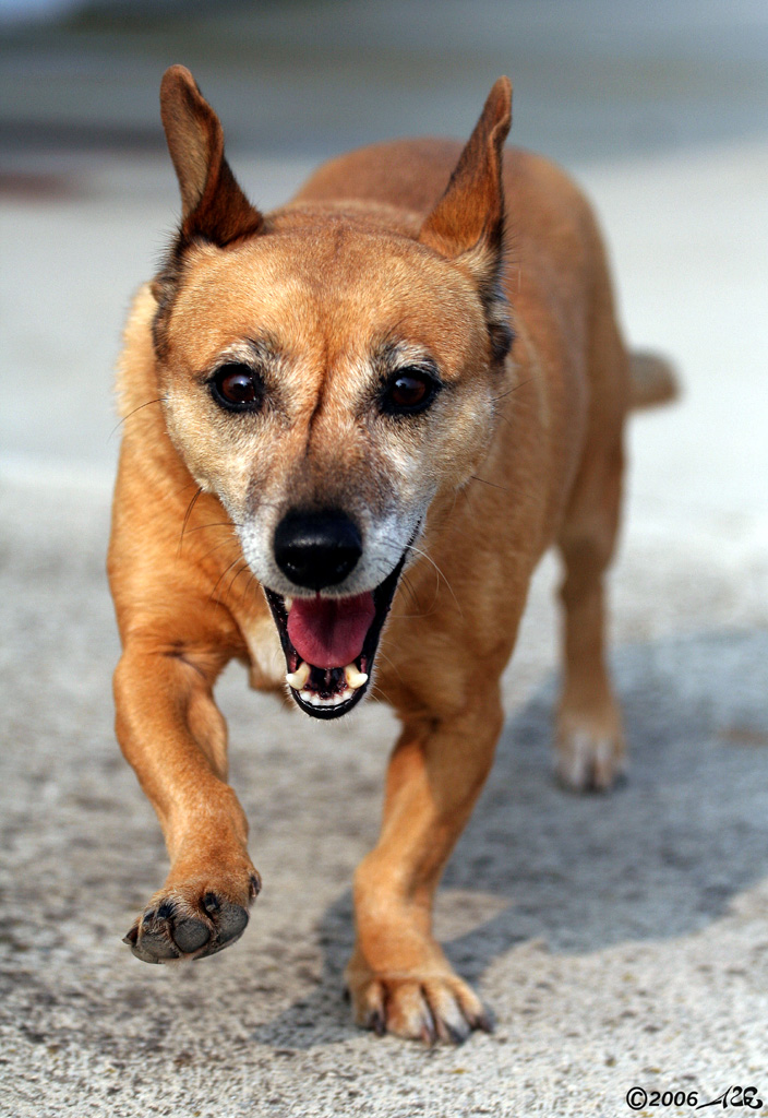 Betty, che grinta!!!