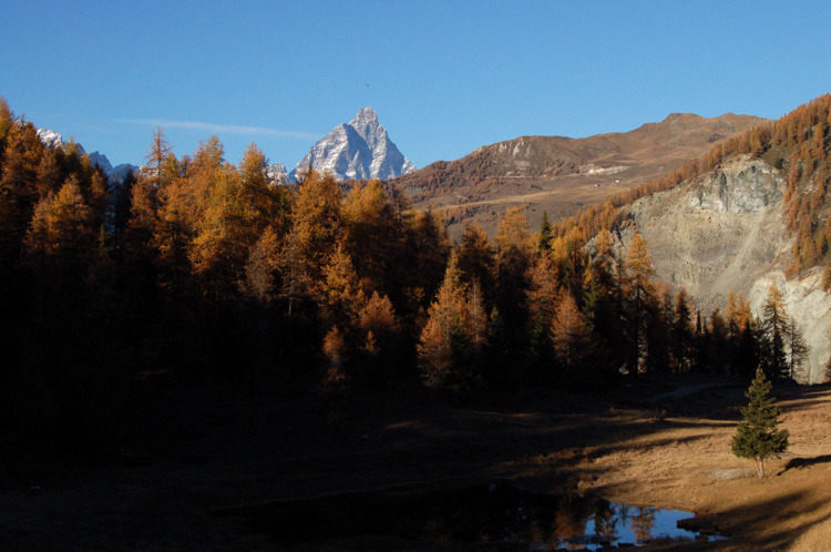 A natural skyscraper