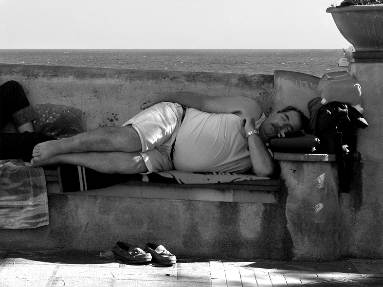 .: siesta estiva :.