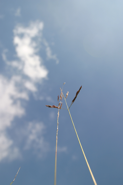 Indicazioni per il Cielo