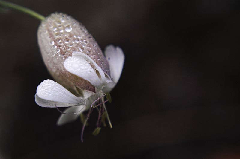 ri-post �oO�brina�oO�