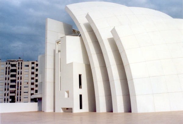 Dives in misericordia 1