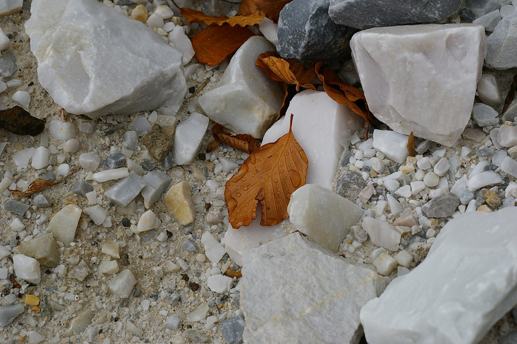 in attesa di una ventata...