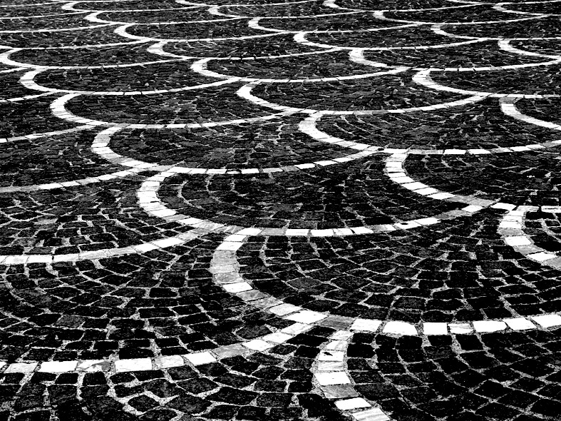 .: coda di pavone :.