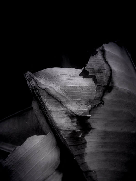 Anatomy of Broken Dreams