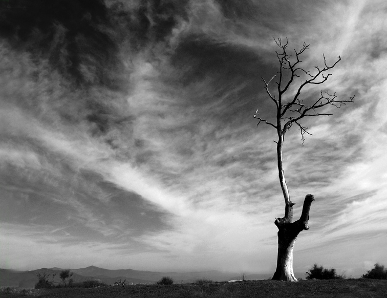 cielo in inverno ...