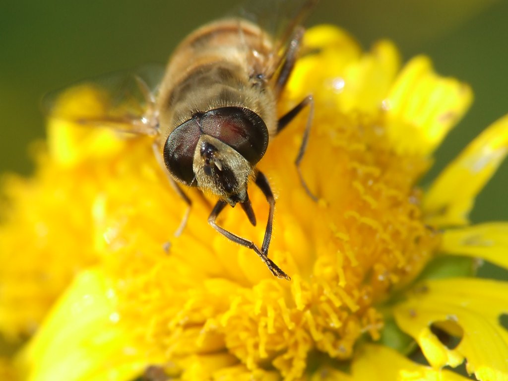 M'hai fatto la foto? Bravo!!!