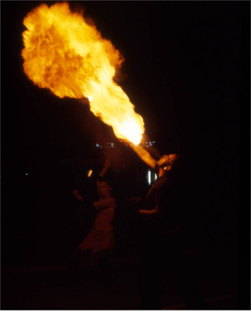 Notte Bianca, Pegognaga 1