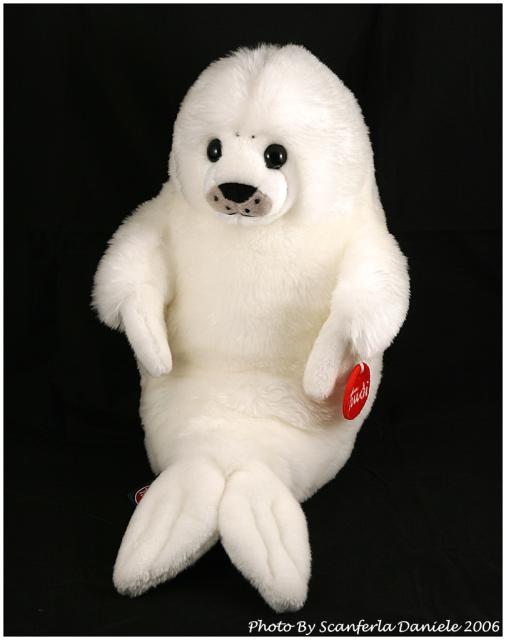 Primo esperimento in studio e prima modella..