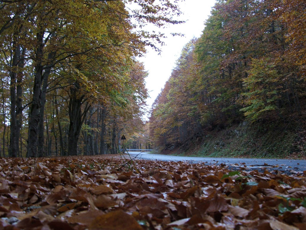 Autunno on the road
