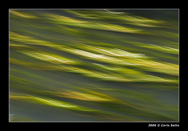 Giochi di luce e colori (Sile)