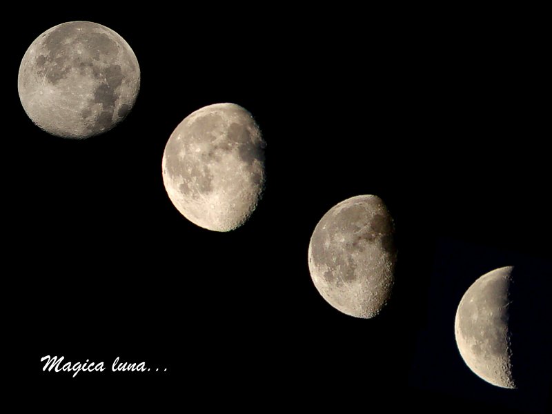 Magica luna...
