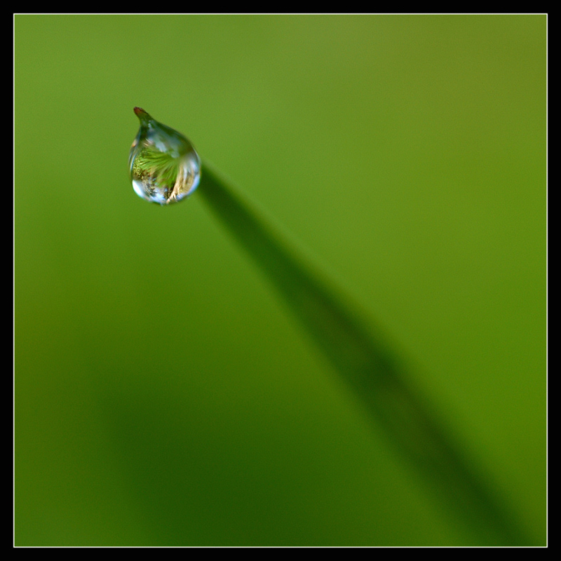 sguardo verso il cielo