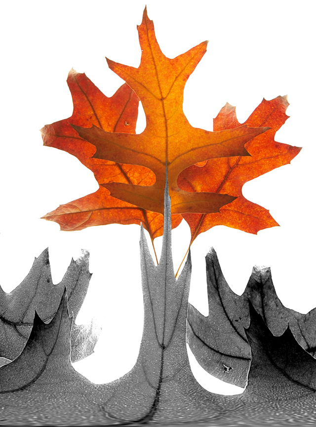 I colori dell'autunno