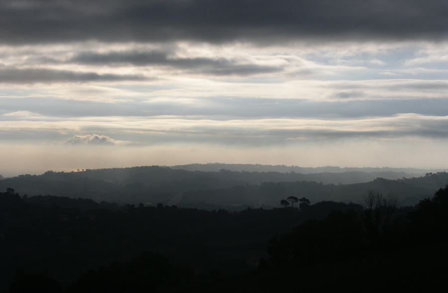 Tutti i colori del grigio