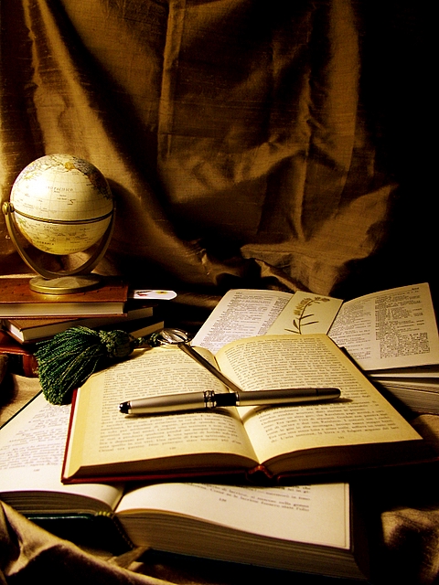 Il bibliotecario..od anche studioso del secolo scorso!