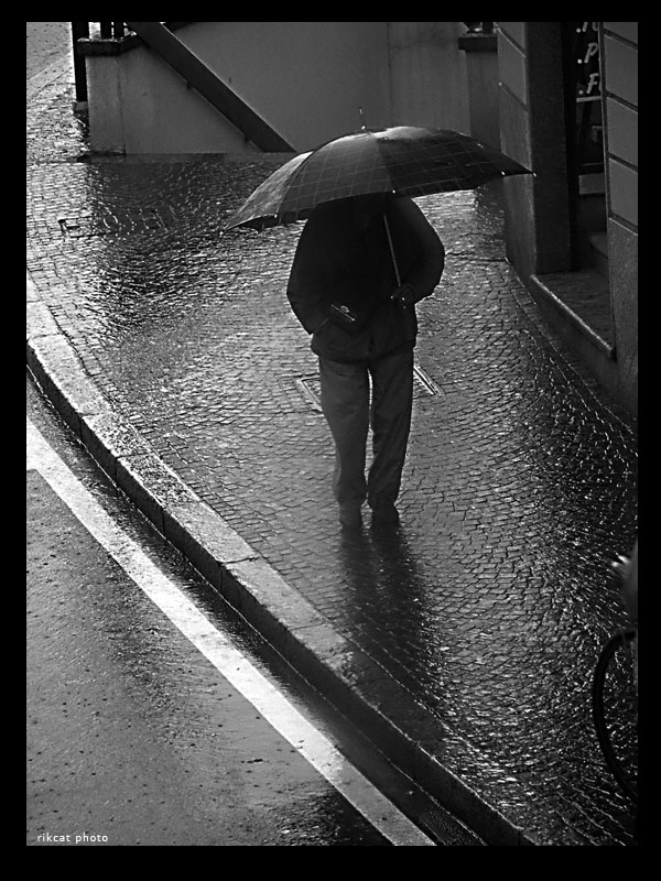 oggi piove
