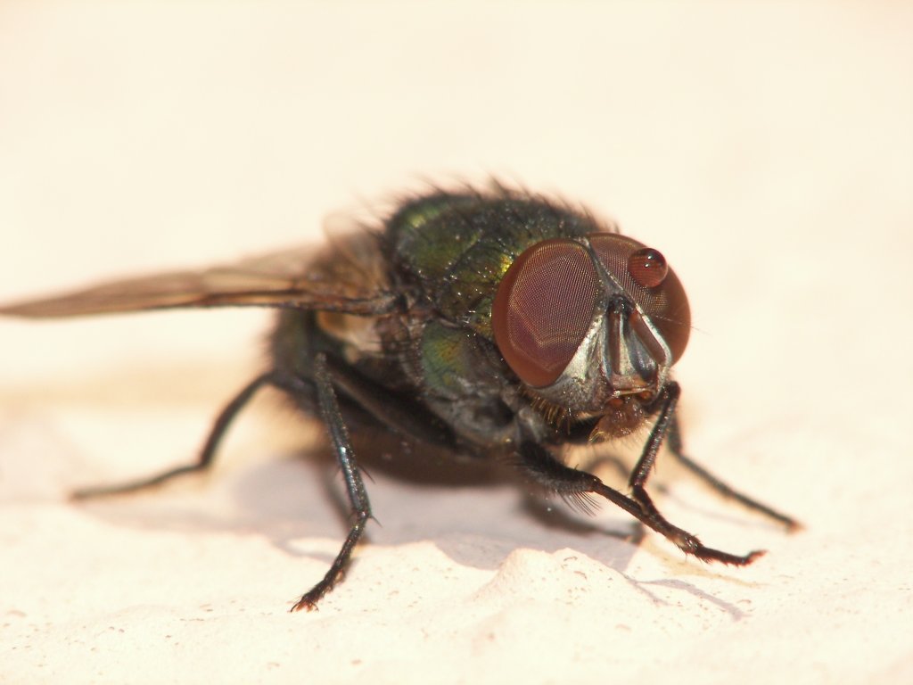 ...ho sputato controvento...