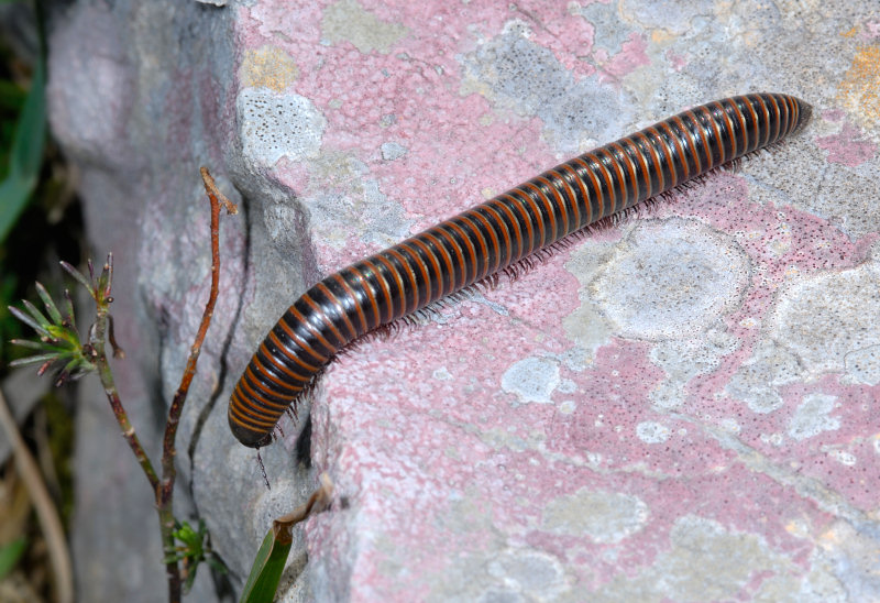 Che c'� di bello l� sotto?...