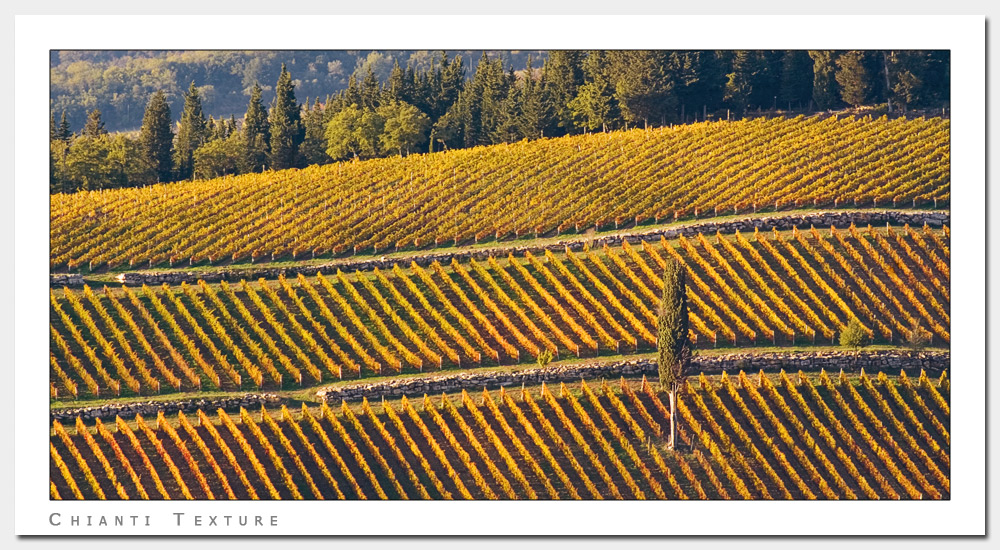 Chianti Texture