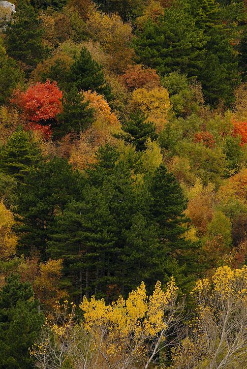 Autunno