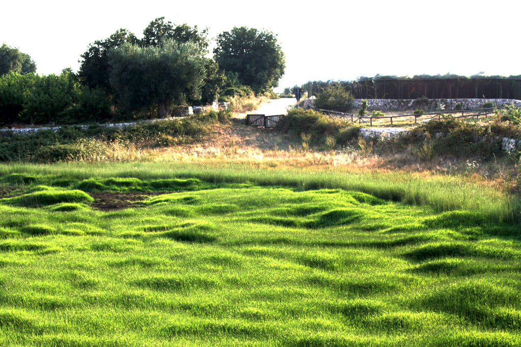 Campagna - Conversano, Bari