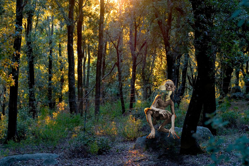 Un altro avvistamento