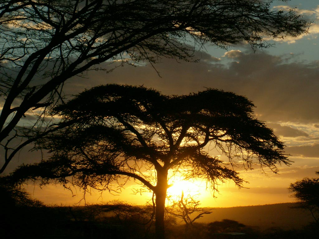Tramonto al Serengeti