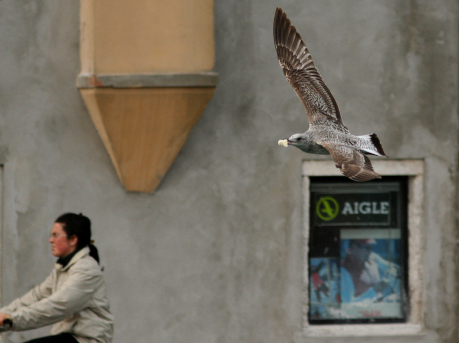 Lungo una calle di Chioggia-Venezia
