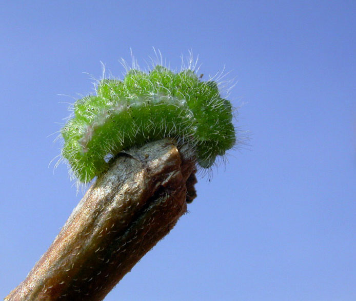 brrr...che freddo,fammi scaldare un p�