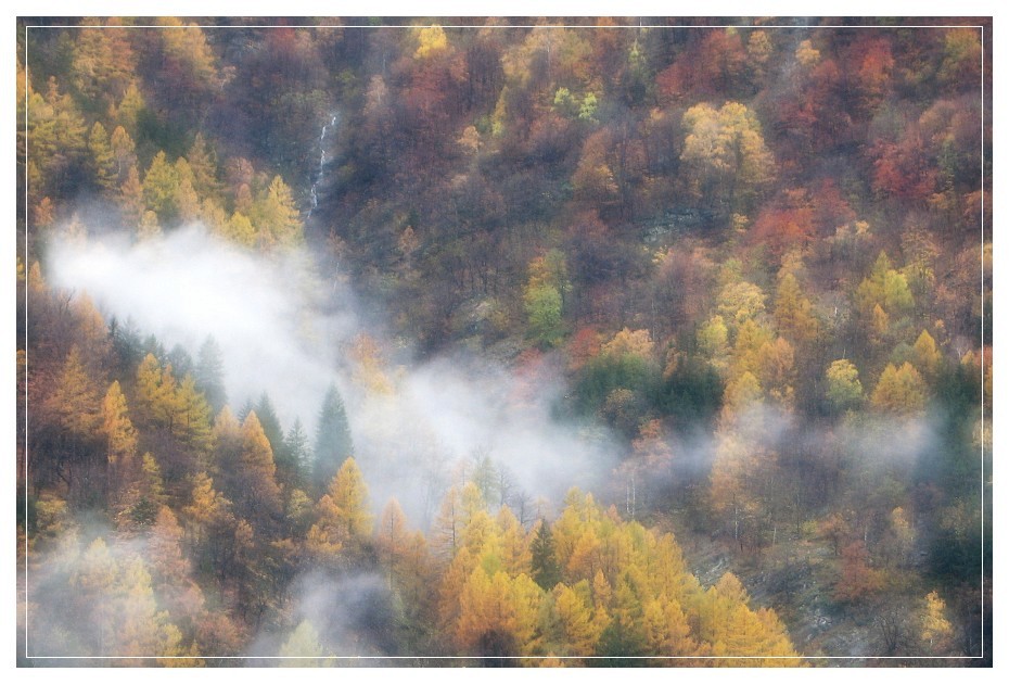 Dove sono quei tuoi compagni ridenti?