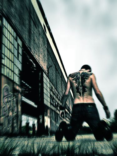 HARD TO TAKE THE FLY