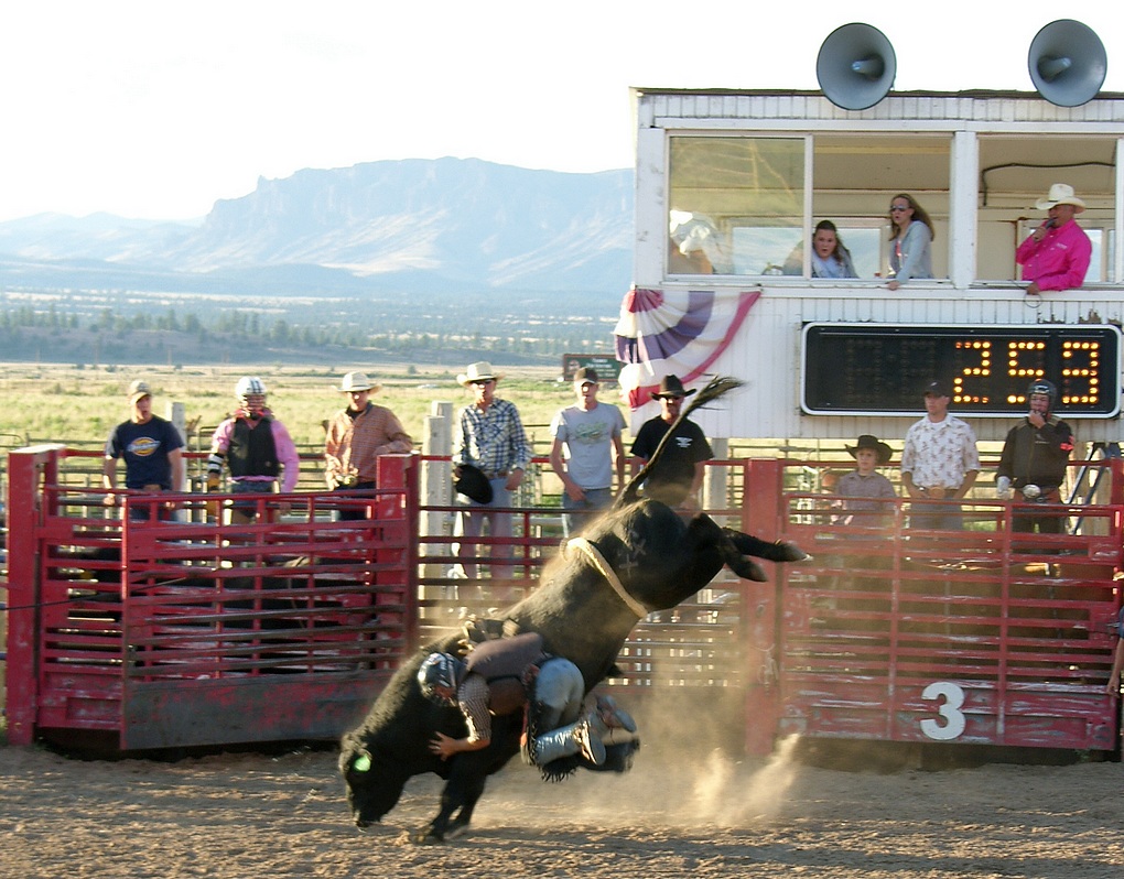 Rodeo show