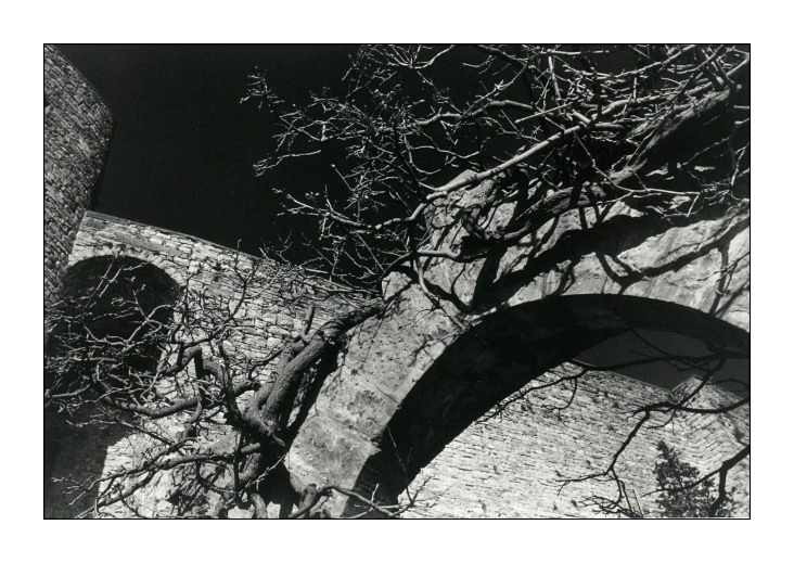 Test Fomapan 400 - 02