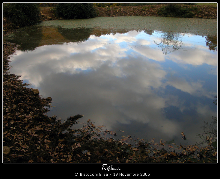 Riflesso