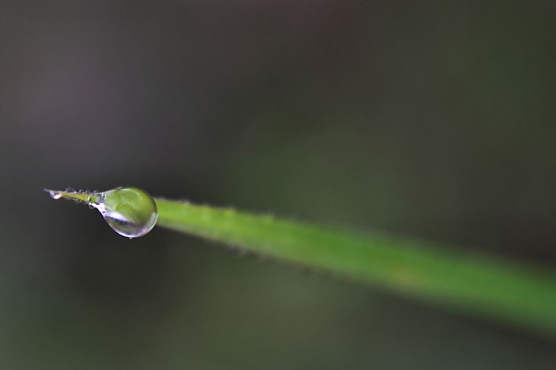 e voil� la mia goccia