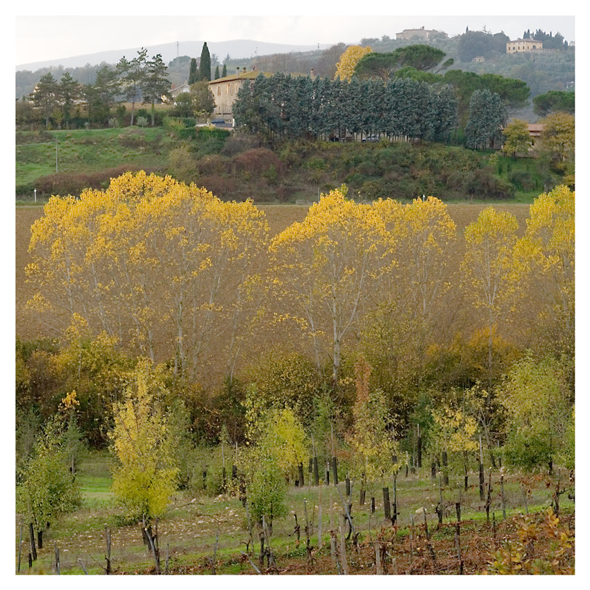 Autunno 1