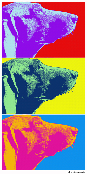 Umba's Pop Art