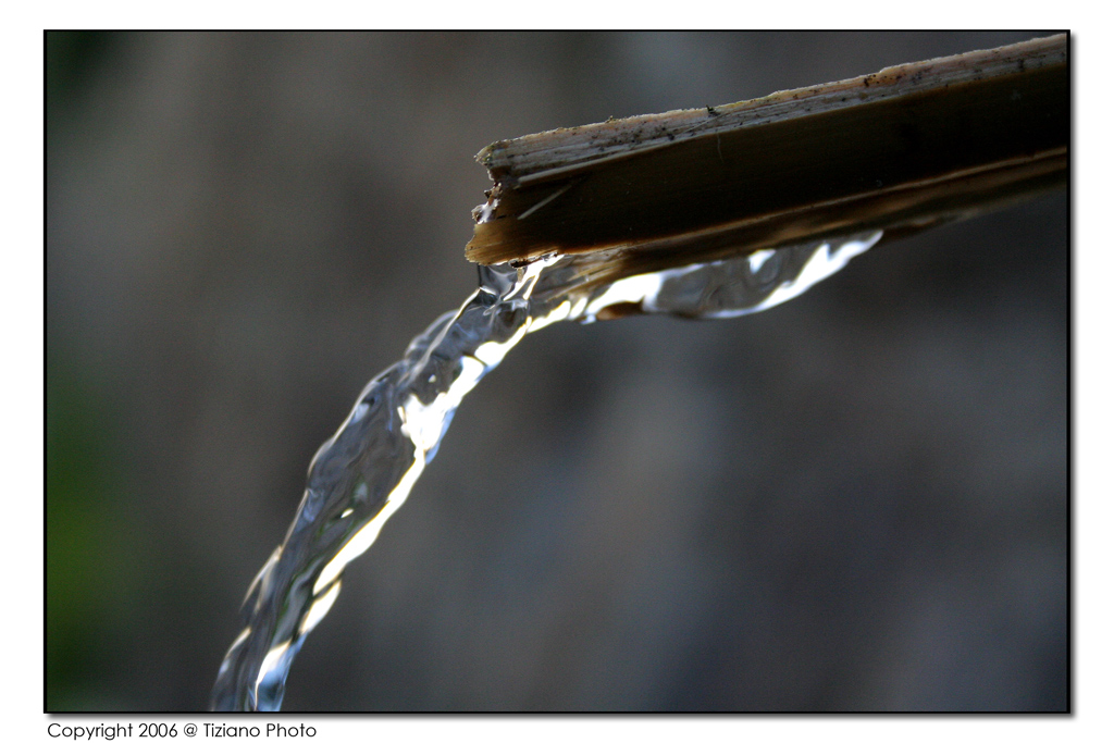 La "fonte della vita"