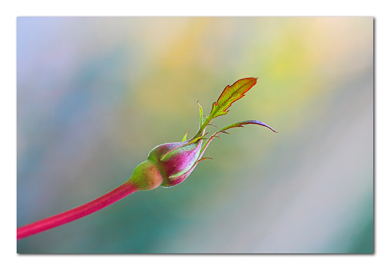 Metano ti d� una mano