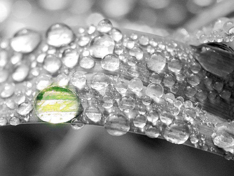 La madre delle gocce.