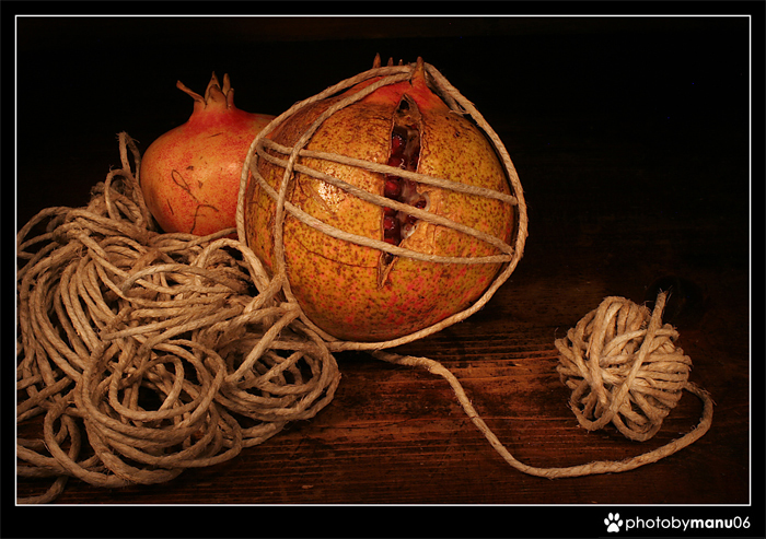 tied up! (legato ad un filo...)