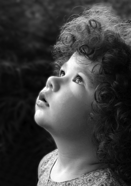 cercando il gabbiano Jonatan..