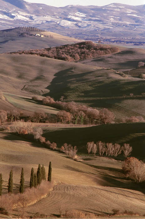 Val d' Orcia, vicino S. Quirico