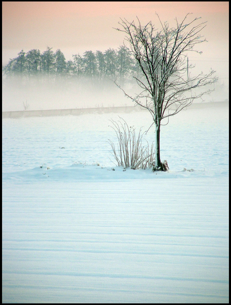 Hinterland Milanese 2006