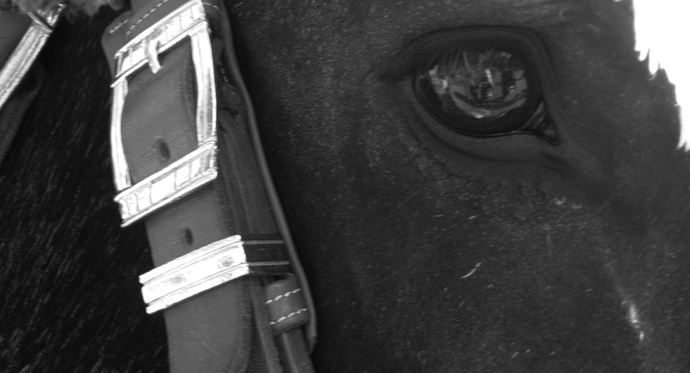 a cosa stai pensando?